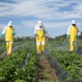 NAJAVA IZOBRAZBE O SIGURNOM RUKOVANJU PESTICIDIMA – OSNOVNA I DOPUNSKA – PRODUŽENJE ISKAZNICA