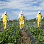 NAJAVA IZOBRAZBE O SIGURNOM RUKOVANJU PESTICIDIMA - OSNOVNA I DOPUNSKA - PRODUŽENJE ISKAZNICA