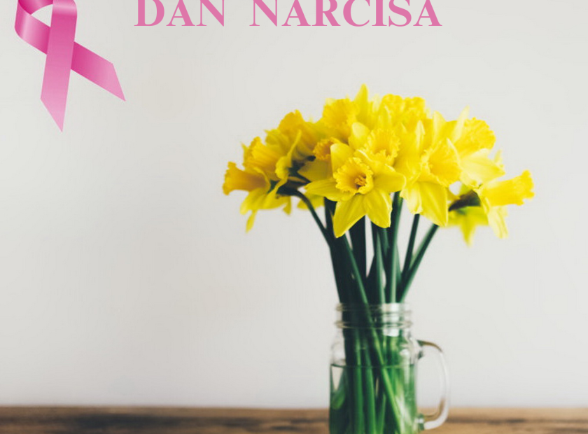 DAN NARCISA