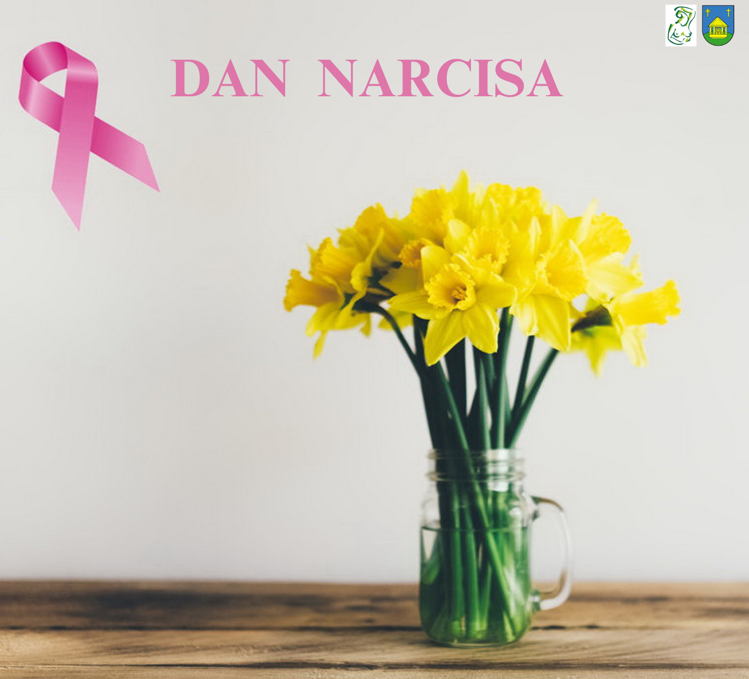 DAN NARCISA