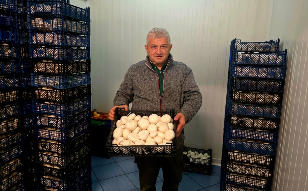 74a864e3-e9df-4d39-9281-d847f9fb093e