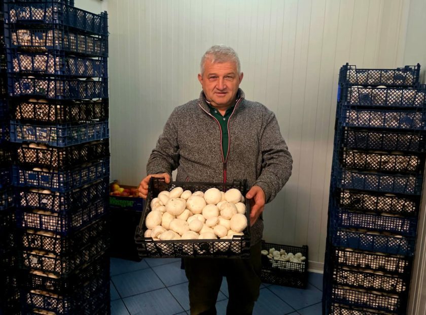 74a864e3-e9df-4d39-9281-d847f9fb093e