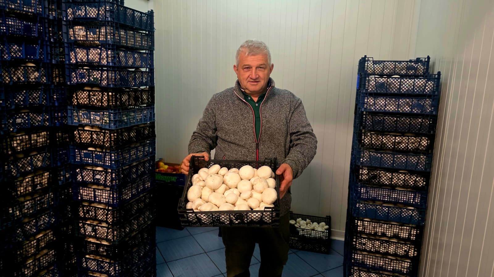 74a864e3-e9df-4d39-9281-d847f9fb093e