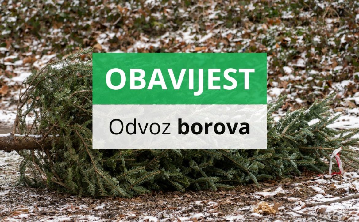 617072952_1199022012440398_1330675799593347759_n