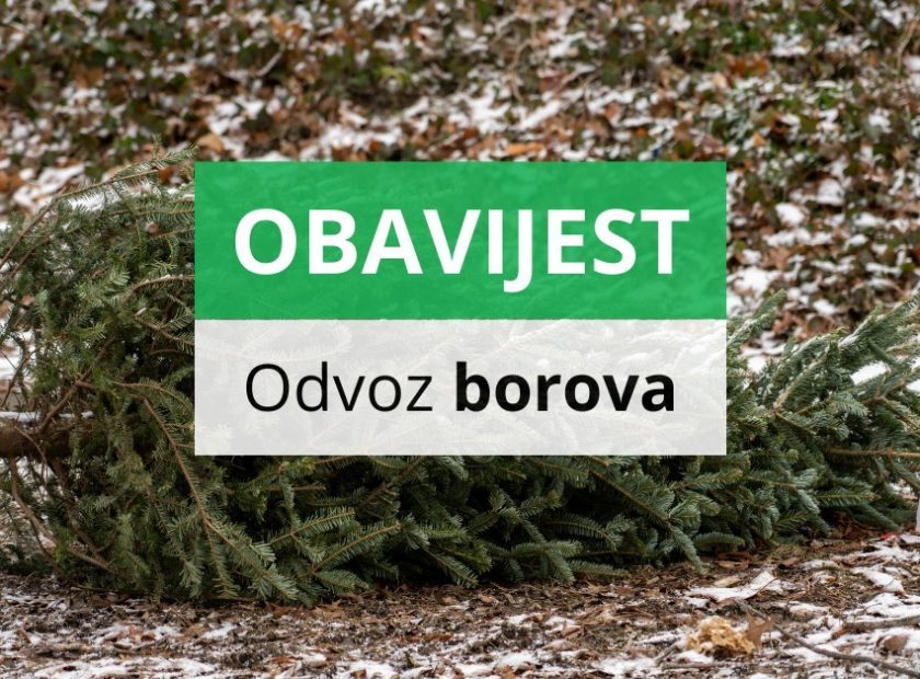 617072952_1199022012440398_1330675799593347759_n