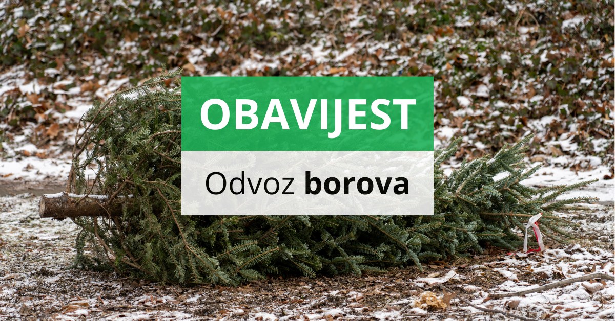 617072952_1199022012440398_1330675799593347759_n