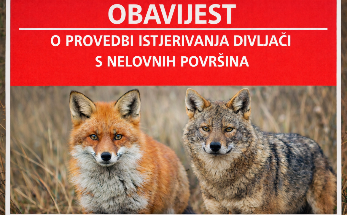 763d2f4e-eb84-493c-8561-758f9f48a788