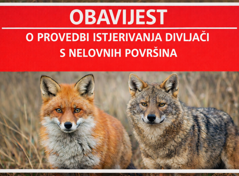 763d2f4e-eb84-493c-8561-758f9f48a788