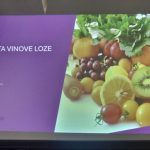 GODIŠNJA SKUPŠTINA UDRUGE VINOGRADARA I VINARA „BRENTA“ IVANIĆ-GRAD