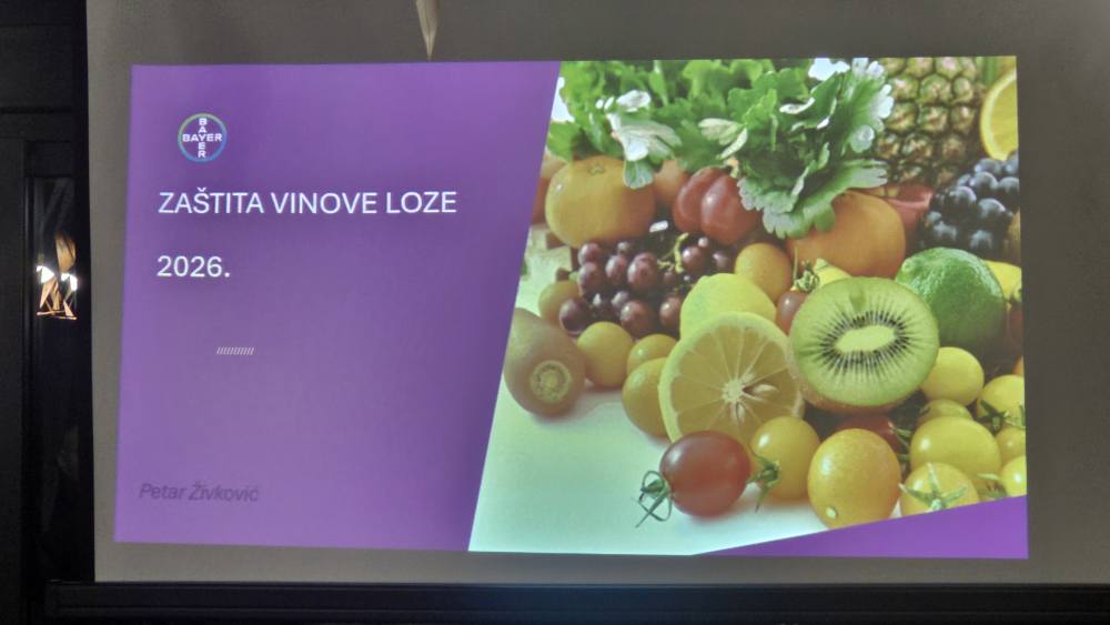 644724997_25629770436719304_1161050454956613247_n